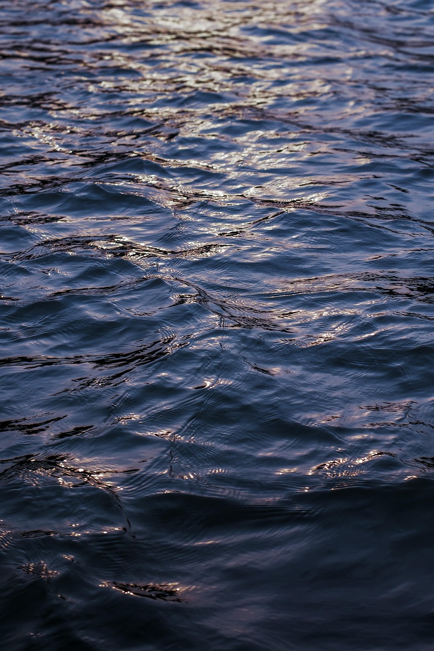 détection et traitement des infiltrations d'eau dans les combles pour protéger votre maison des dégâts et assurer un environnement sain.