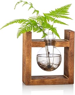 Station De Propagation 1 Pc Ampoule Vase D
