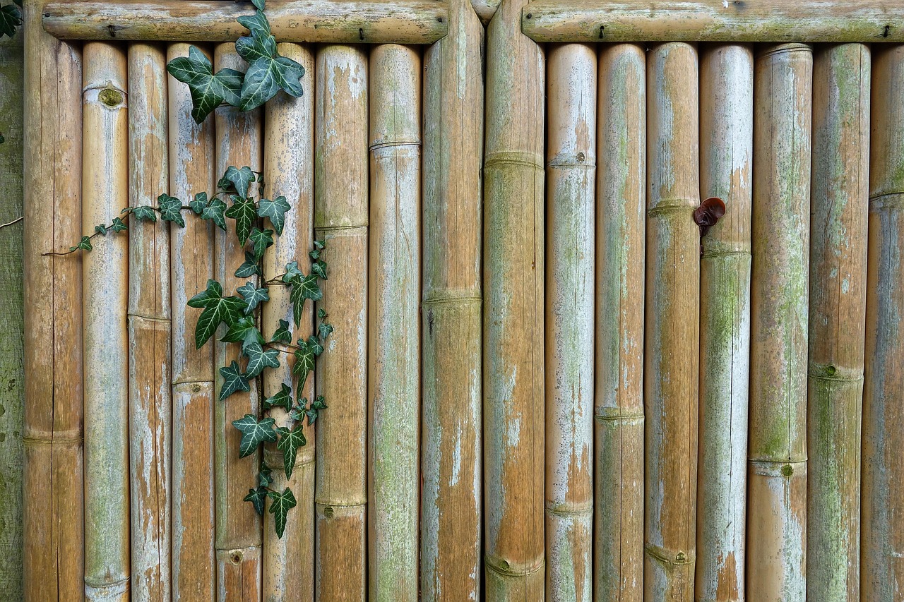 découvrez notre sélection de plantes idéales pour un jardin vertical extérieur, parfaites pour sublimer vos espaces en hauteur avec verdure et fraîcheur.