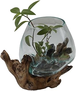 Vase en verre sur racine de bois Ø 18 cm x Hauteur 24 cm - Verre recyclé et bois de teck fabriqué à la main - Décoration intérieure extravagante - Vase décoratif - Vase en verre naturel - A18 - Idée