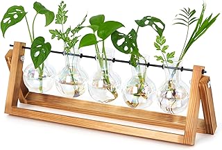 XXXFLOWER Station de propagation de bureau en verre avec support en bois et support pivotant en métal pour intérieur, jardin, décoration de mariage (5 ampoules)