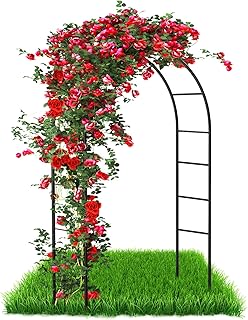 Arche pour plantes grimpantes et roses, arc en métal, pour porte de jardin, treillis en acier revêtu par poudre, résistant aux intempéries, 240 x 140 x 38 cm