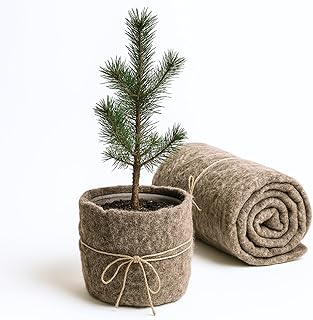 UNIGARDIA Feutre de Laine de Mouton 50 x 500 cm - Paillage Jardin 100% Naturel et Biodégradable - Tapis Sol Isolant Thermique pour Plantes - Protection Hivernale et Anti-Limaces